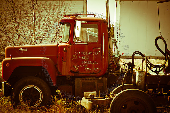 Cranberry Marsh 2010-090