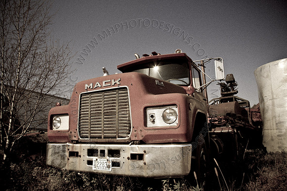 Cranberry Marsh 2010-091