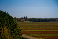 Cranberry Marsh 2010-002