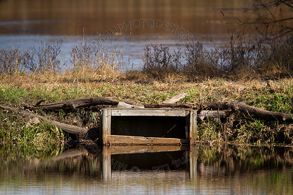 Cranberry Marsh 2010-074