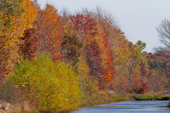 Cranberry Marsh 2010-054