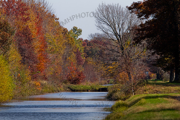 Cranberry Marsh 2010-052