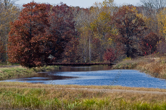 Cranberry Marsh 2010-044
