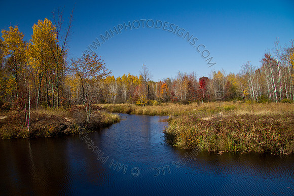 Cranberry Marsh 2010-083
