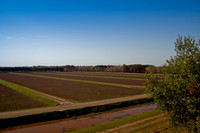 Cranberry Marsh 2010-003
