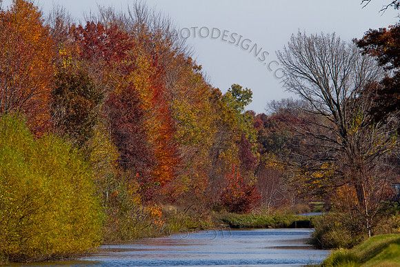 Cranberry Marsh 2010-053