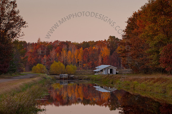 Cranberry Marsh 2010-185