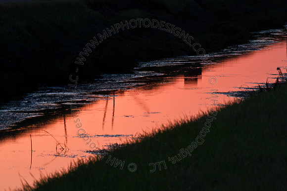 Cranberry Marsh 2010-183