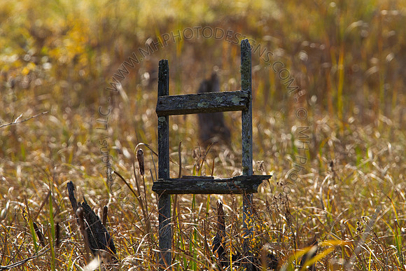 Cranberry Marsh 2010-046