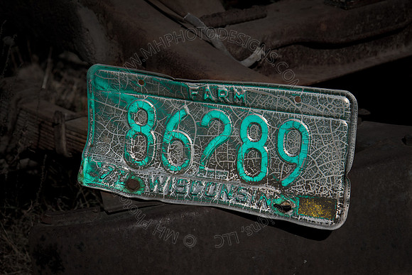 Cranberry Marsh 2010-104
