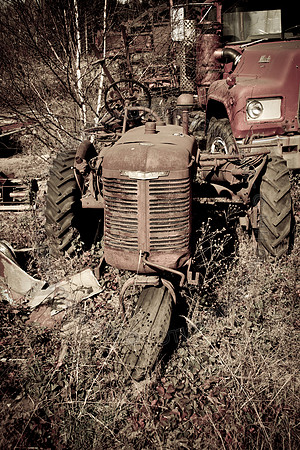 Cranberry Marsh 2010-093