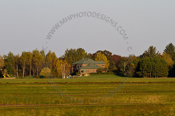 Cranberry Marsh 2010-167