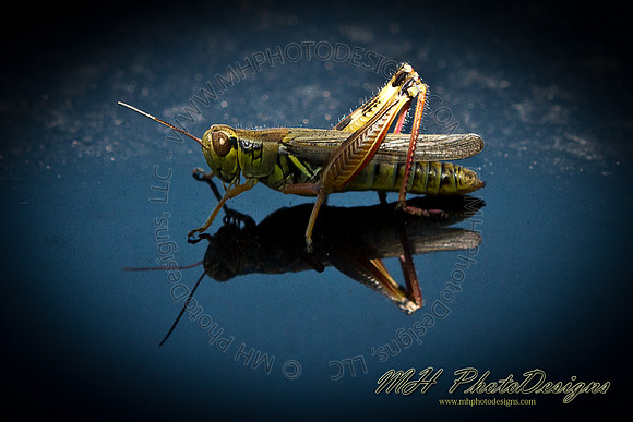 September Projects 2011-016