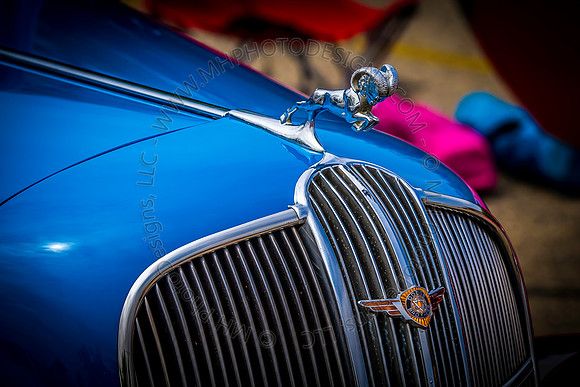 Automotion Car Show 2013-007