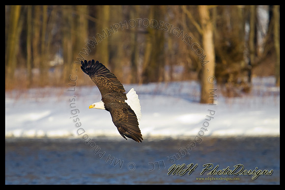 January Projects 2011-011