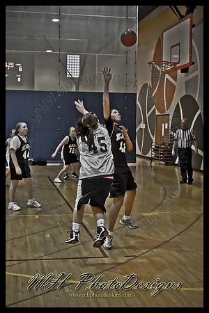 January Projects 2011-027