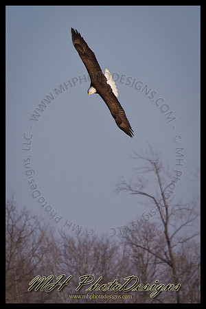 January Projects 2011-010