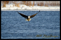 January Projects 2011-007