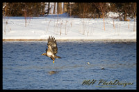January Projects 2011-006