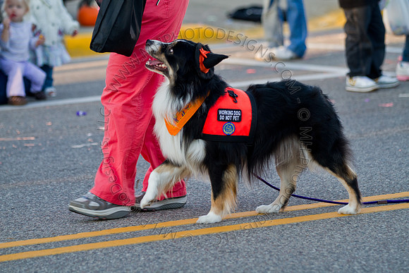 Nekoosa Homecoming Parade 2010-057