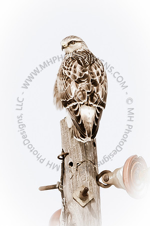 March Projects 2012-003