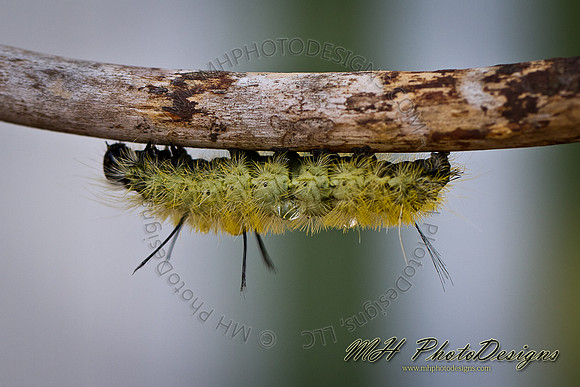 August Projects 2011-027