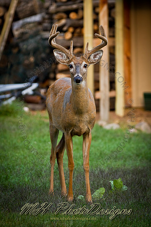 August Projects 2011-028