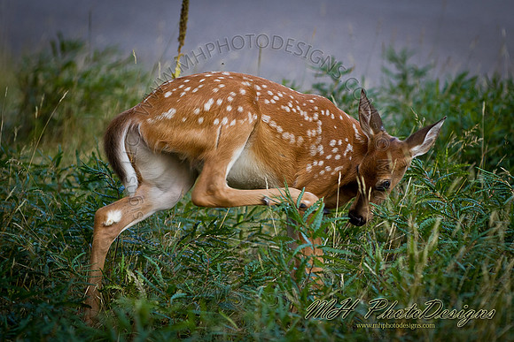 August Projects 2011-032