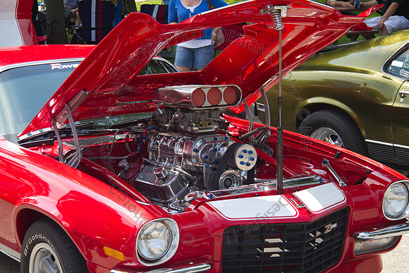 Iowa Car Show 2010-369