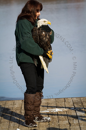 Eagle Days 2012-028