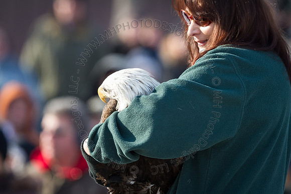 Eagle Days 2012-032
