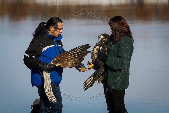 Eagle Days 2012-055