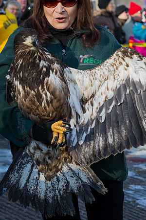 Eagle Days 2012-049