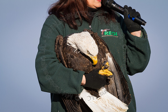 Eagle Days 2012-073