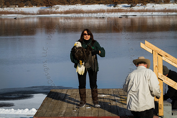 Eagle Days 2012-027