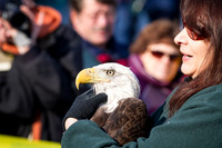 Eagle Days 2012-010