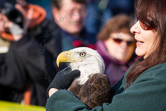 Eagle Days 2012-010