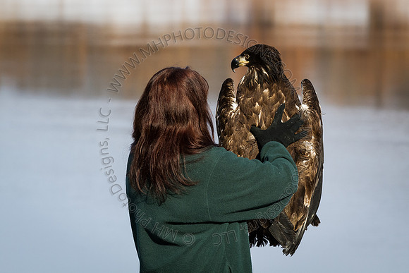 Eagle Days 2012-057