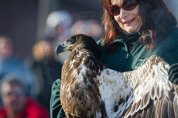 Eagle Days 2012-065