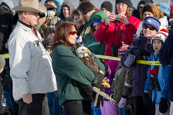 Eagle Days 2012-025