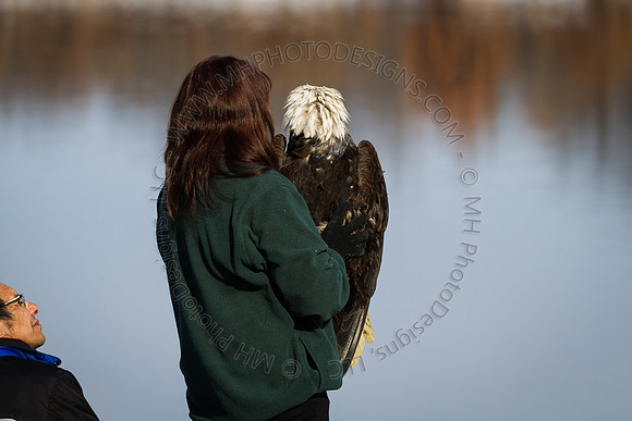 Eagle Days 2012-031