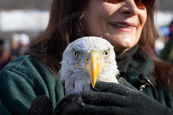 Eagle Days 2012-020