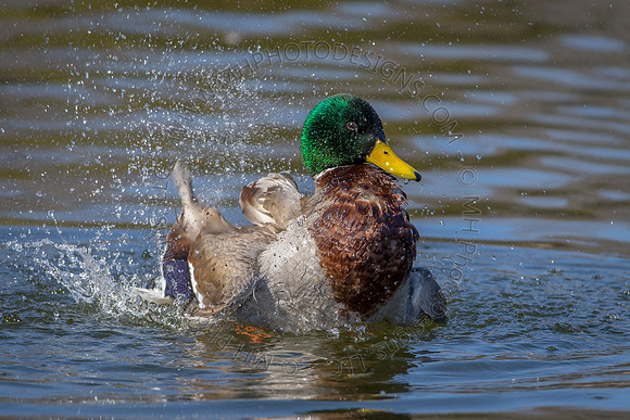 March 2015-007