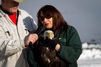 Eagle Days 2012-004