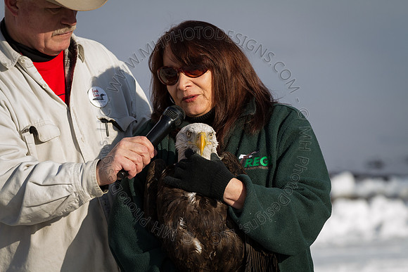 Eagle Days 2012-004