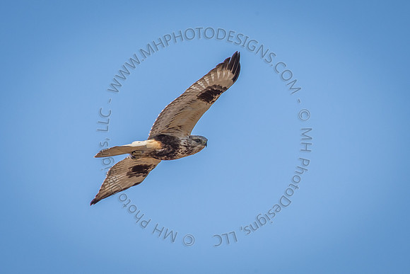 March 2015-015