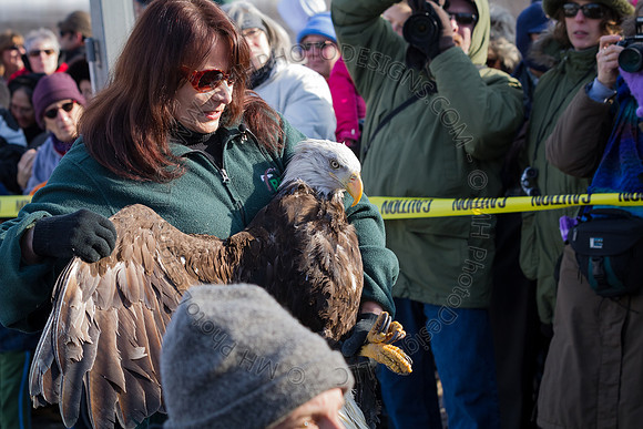 Eagle Days 2012-021