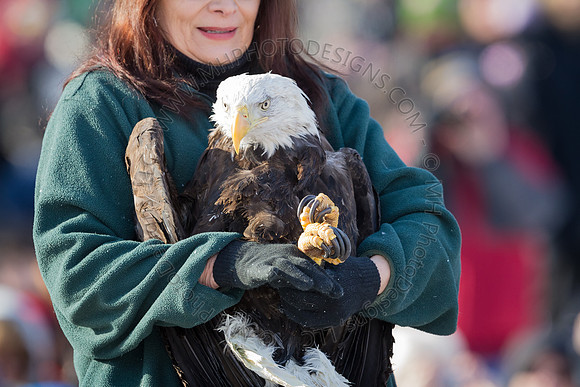 Eagle Days 2012-041
