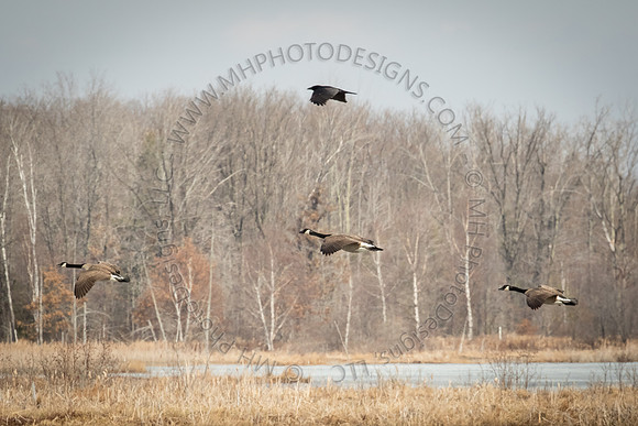 March 2015-002