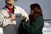 Eagle Days 2012-001